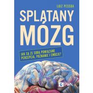 Splątany mózg: Jak są ze sobą powiązane percepcja, poznanie i emocje? - 21489b00100ks.jpg