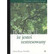 Bóg wie że jesteś zestresowany: Proste sposoby na odzyskanie równowagi - 469312i.jpg