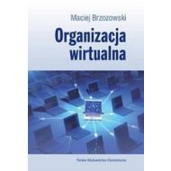 Organizacja wirtualna - 500181i.jpg