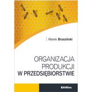 Organizacja produkcji w przedsiębiorstwie - 631891i.jpg