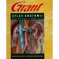 Atlas anatomii Grant - 636861i.jpg