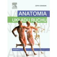 Anatomia układu ruchu - 706293i.jpg