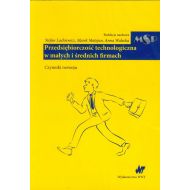 Przedsiębiorczość technologiczna w małych i średnich firmach: Czynniki rozwoju - 763215i.jpg