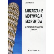 Zarządzanie motywacją ekspertów: na przykładzie specjalistów z branży IT - 815698i.jpg