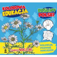 Kolorowa edukacja Rośliny Polski naklejka - 816243i.jpg