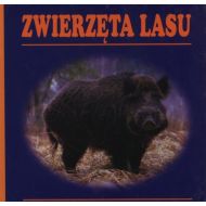 Zwierzęta lasu - 827518i.jpg