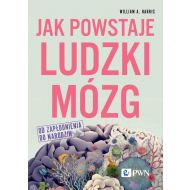 Jak powstaje ludzki mózg Od zapłodnienia do narodzin - 85771a00100ks.jpg