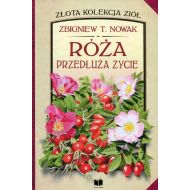 Róża przedłuża życie - 945218i.jpg