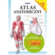 Atlas anatomiczny: 3 plakaty gratis - 95882402944at.jpg