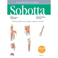 Tablice anatomiczne mięśni, stawów i nerwów. Łacińskie mianownictwo: Atlas anatomii człowieka Sobotta - 99252903649ks.jpg