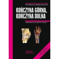 Anatomia prawidłowa człowieka. Koń.górna,koń. dol. - ateneum_171408.jpg