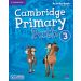 Cambridge Primary Path 3 Activity Book with Practice Extra