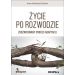 Życie po rozwodzie: Zróżnicowany proces adaptacji