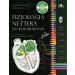 Fizjologia Nettera do kolorowania
