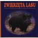 Zwierzęta lasu